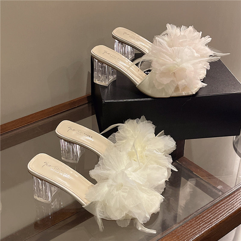 447f7ca8d0708e08a5e2547f6fa45746
